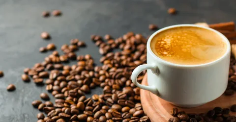 Купить кофе в Алматы: свежие обжаренные зерна от Coffeelogia для истинных ценителей